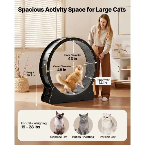 VEVOR Katzenlaufrad, 1080 mm Innendurchmesser, Laufrad aus Holz für 8,6-12,7 kg Katzen, Katzenlaufband mit Teppichlauffläche & Verriegelungsmechanismus, leises Spielzeug für Wohnungkatzen, Schwarz VEVOR Katzenlaufrad, 1080 mm Innendurchmesser, Laufrad aus Holz für 8,6-12,7 kg Katzen, Katzenlaufband mit Teppichlauffläche & Verriegelungsmechanismus, leises Spielzeug für Wohnungkatzen, Schwarz