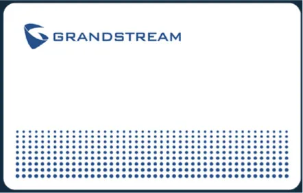 Grandstream GDS TFE RFID Card 1 Stück Grandstream GDS TFE RFID Card 1 Stück