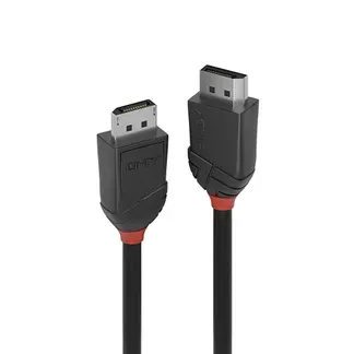 Lindy 36490 DisplayPort-Kabel 0,5 m Schwarz Lindy 36490 DisplayPort-Kabel 0,5 m Schwarz