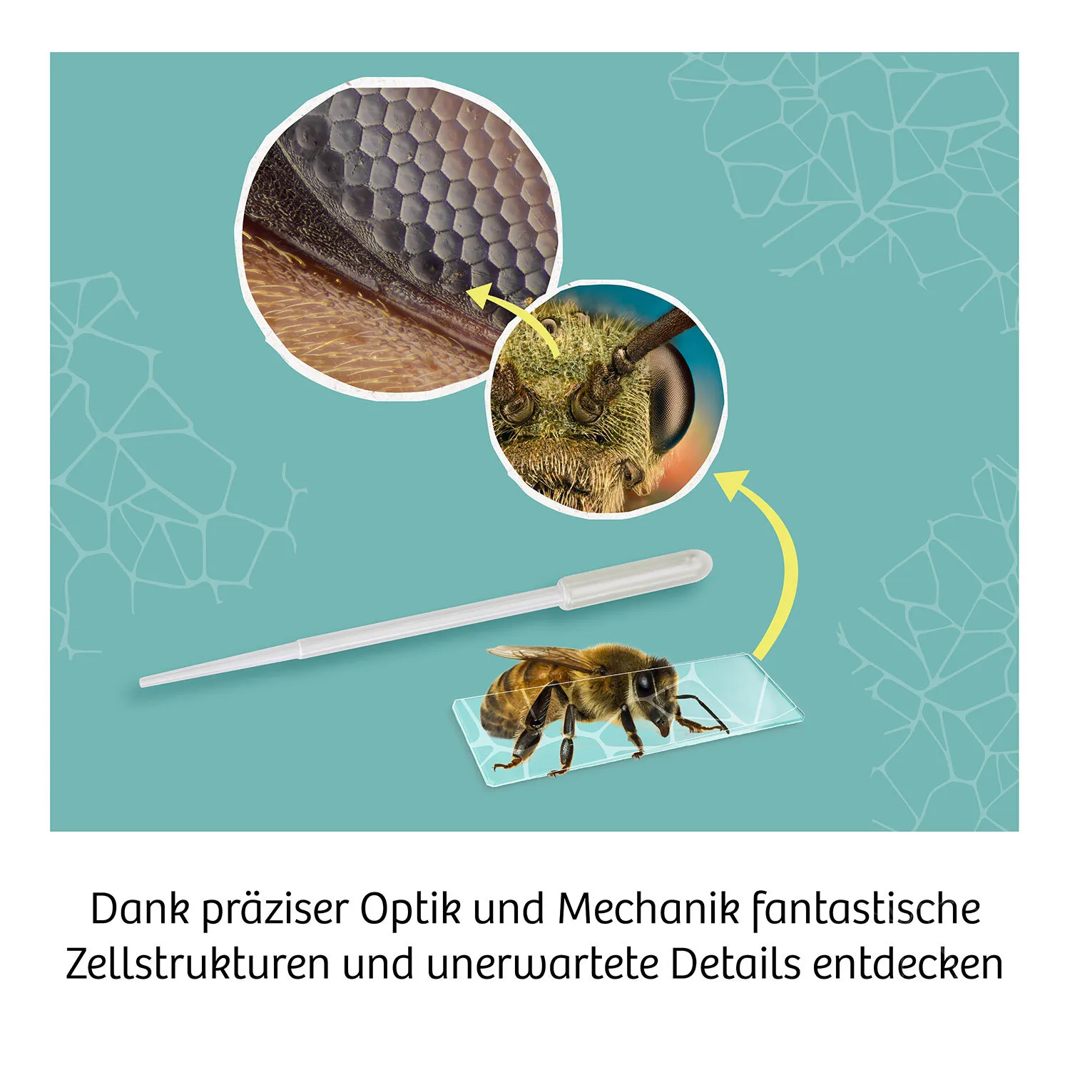 Kosmos 33414758 Wissenschafts-Bausatz & -Spielzeug für Kinder – Bild 4