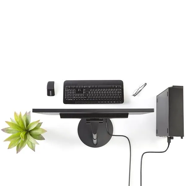 StarTech.com 1,8m DisplayPort auf DVI Kabel - Stecker/Stecker – Bild 4