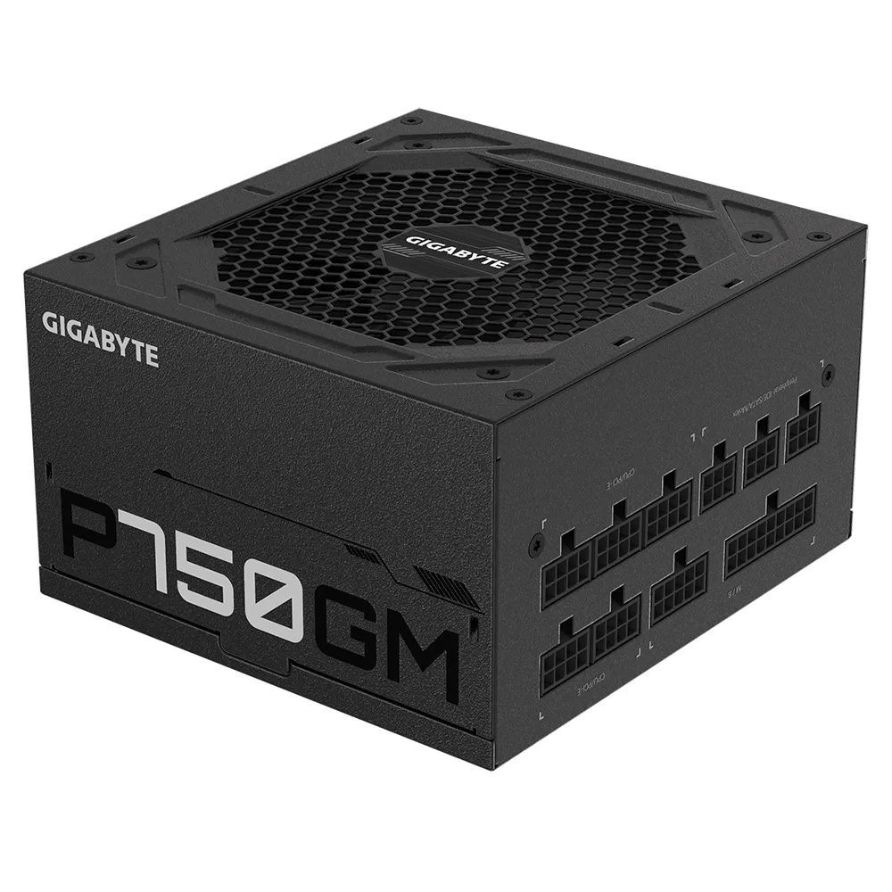 GIGABYTE P750GM Netzteil 750 W 20+4 pin ATX ATX Schwarz – Bild 3