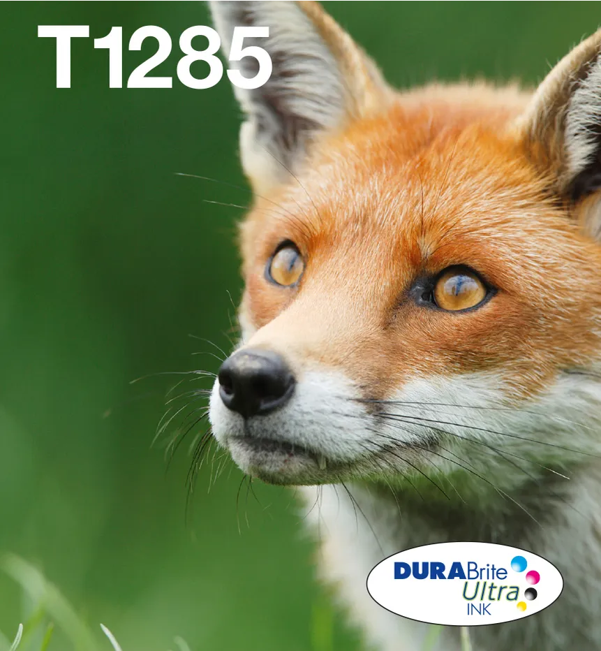 Epson Fox Multipack 4-colours T128 EasyMail Epson Fox Multipack 4-colours T128 EasyMail