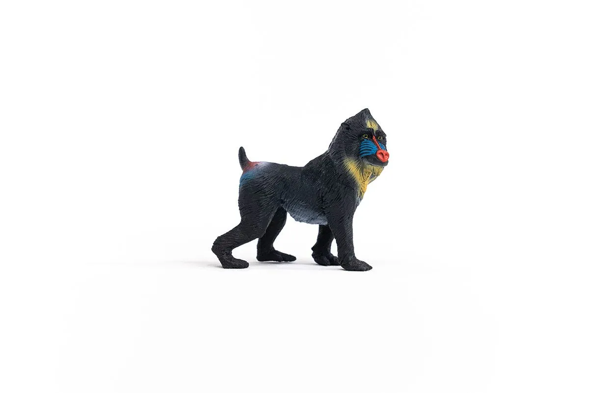 schleich WILD LIFE 14856 Kinderspielzeugfigur – Bild 4