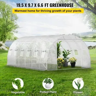 VEVOR Foliengewächshaus 6,1x3x2,1m Bogendach Gewächshaus Verzinkter Stahlrahmen 140 g/cm³ PE Mobiles Treibhaus Wasserdicht und UV-Beständig Frühbeet Geeignet für Anbau von Gemüse Blumen Pflanzen VEVOR Foliengewächshaus 6,1x3x2,1m Bogendach Gewächshaus Verzinkter Stahlrahmen 140 g/cm³ PE Mobiles Treibhaus Wasserdicht und UV-Beständig Frühbeet Geeignet für Anbau von Gemüse Blumen Pflanzen