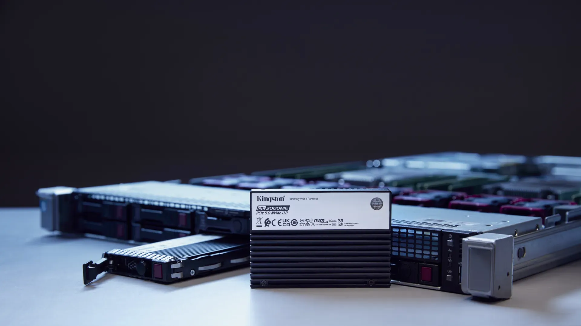 Kingston Technology 3,84TB DC3000ME U.2 PCIe 5.0 NVMe TCG Opal Enterprise SSD – Bild 6