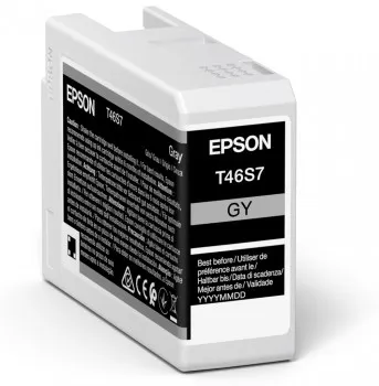 Epson UltraChrome Pro Druckerpatrone 1 Stück(e) Original Grau Epson UltraChrome Pro Druckerpatrone 1 Stück(e) Original Grau