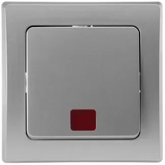 DELPHI Kontroll-Schalter mit Lämpchen 250V~/ 10A, UP, silber DELPHI Kontroll-Schalter mit Lämpchen 250V~/ 10A, UP, silber