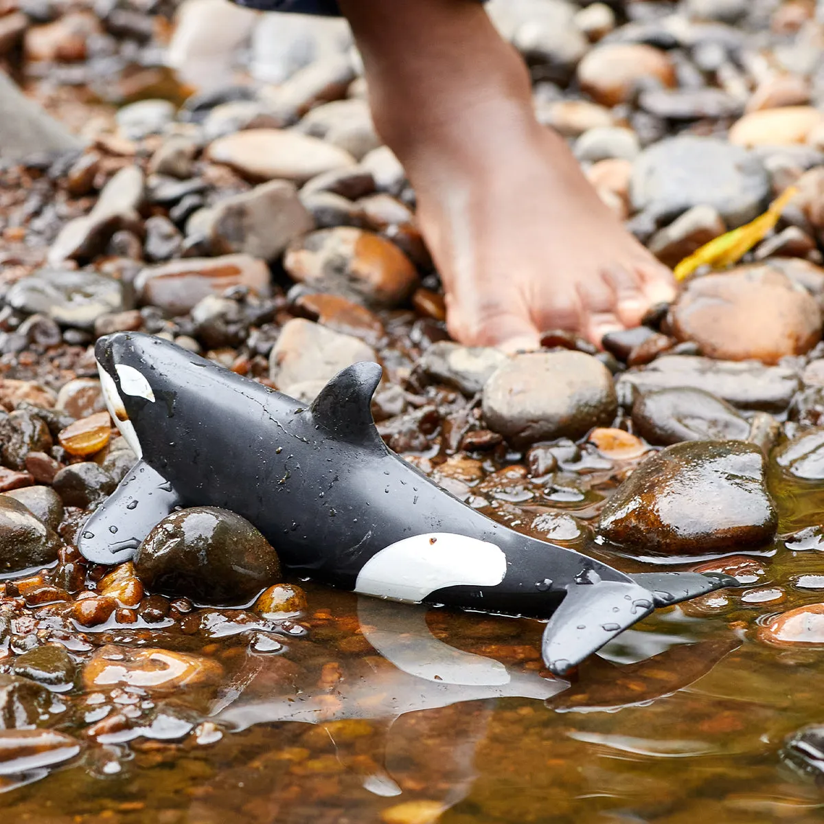 schleich WILD LIFE Orka – Bild 2
