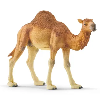 schleich WILD LIFE 14832 Kinderspielzeugfigur schleich WILD LIFE 14832 Kinderspielzeugfigur