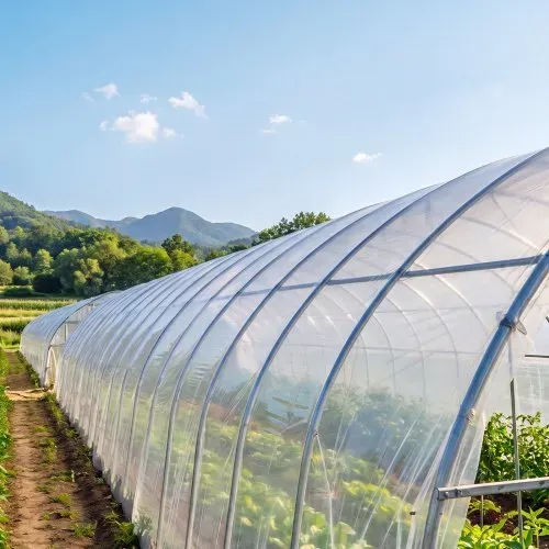 VEVOR Gewächshausfolie 1,8x30,5m Polyethylenfolie 0,143–0,152mm Tunnelfolie, für Landwirtschaft Gartenbau & Freilandpflanzen, Wasser- Sonnen- Frost- Wind- & Staubbeständig, Lichtdurchlässig, Meterware – Bild 7
