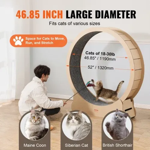 VEVOR Katzenlaufrad aus Holz, 132 cm großes Katzenlaufband für Hauskatzen, Katzenrad mit abnehmbarem Teppich und Katzenangel zum Laufen Trainieren, Sportspielzeuge für die meisten Katzen bis 13 kg – Bild 3
