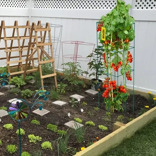 VEVOR Tomatenkäfige, 37 x 37 x 100 cm, 6er-Set quadratische Pflanzenstützkäfige, robuste, grüne Tomatentürme aus PVC-beschichtetem Stahl zum Klettern von Gemüse, Pflanzen, Blumen und Früchten – Bild 7