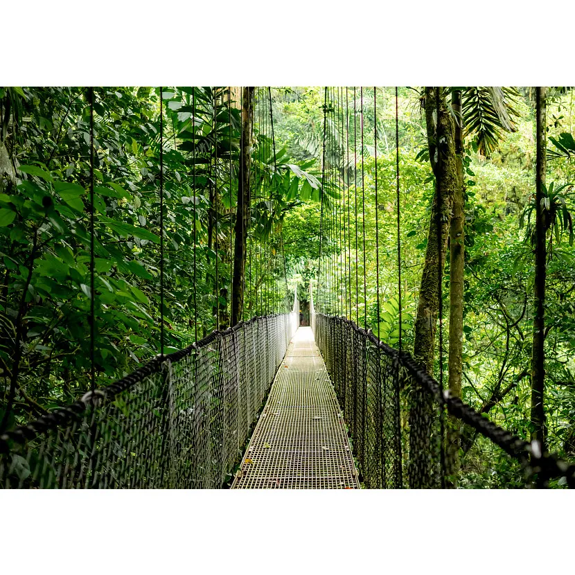 HP EliteBook 6 G1i AI Intel Core Ultra 5 225U Laptop 35,6 cm (14") WUXGA 16 GB DDR5-SDRAM Wi-Fi 7 (802.11be) Windows 11 Pro AI PC Silber – Bild 6