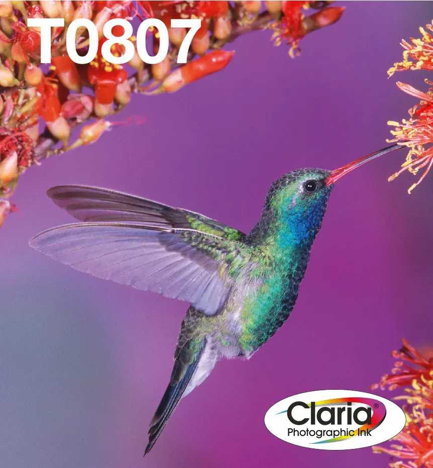 Epson Hummingbird 6-Farb-Multipack T0807 Claria Photographic Ink EasyMail Epson Hummingbird 6-Farb-Multipack T0807 Claria Photographic Ink EasyMail