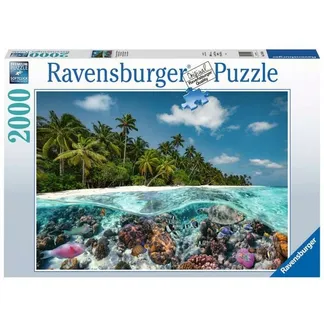 Puzzle Ein Tauchgang auf den Malediven Puzzle Ein Tauchgang auf den Malediven