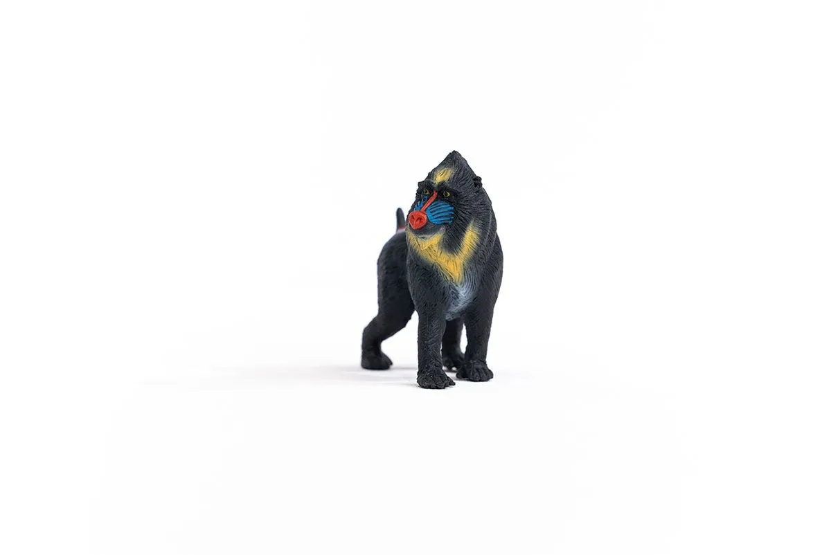 schleich WILD LIFE 14856 Kinderspielzeugfigur – Bild 5