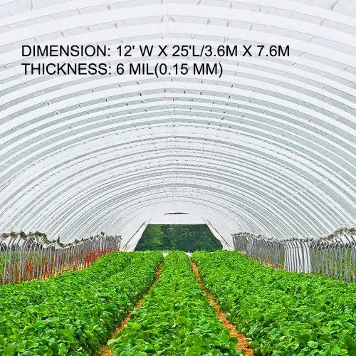 VEVOR PE Gewächshausfolien 3,6 M Länge x 7,6 M Breite Transparent Treibhausfolien, 0,15 mm Dicke Folientunnel, reißfeste Gartenfolien aus Polyethylen als Plastikfolien für Abdeckungen im Außenbereich – Bild 2