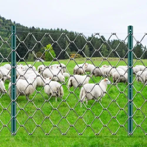 VEVOR 3 Fuß langer Zaunpfosten, 10er-Pack T-Pfosten Hochleistungs-Zaunpfosten aus Metall, stabile Zaunpfähle aus Stahl für Gartenhof, Rasen, Bauernhöfe und Maschendrahtzäune im Freien, grün – Bild 7