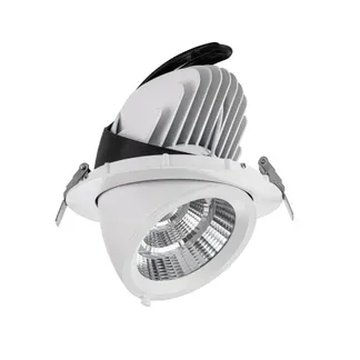 Synergy 21 LED Downlight weiss, schwenkbar, neutralweiß Synergy 21 LED Downlight weiss, schwenkbar, neutralweiß