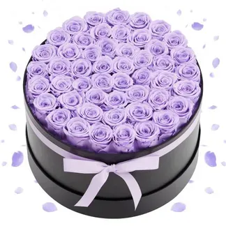 VEVOR 50x Ewige Rosen in runder Box, konservierter Blumenstrauß, Blumen Geschenkbox für ihre Frau, Mütter, Liebespartner, zur Hochzeit, zum Muttertag, Valentinstag, Weihnachten, Lavendelviolett VEVOR 50x Ewige Rosen in runder Box, konservierter Blumenstrauß, Blumen Geschenkbox für ihre Frau, Mütter, Liebespartner, zur Hochzeit, zum Muttertag, Valentinstag, Weihnachten, Lavendelviolett