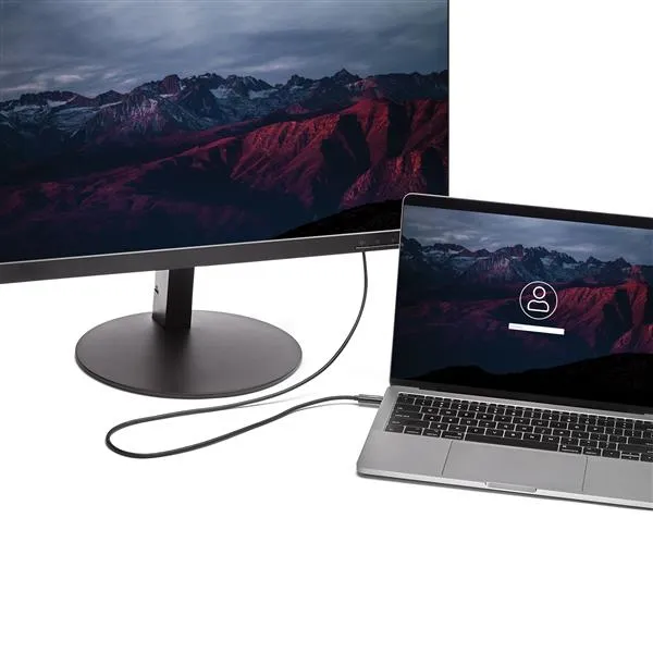 StarTech.com 2m USB-C auf HDMI Kabel - 4K 60Hz USB Typ C zu HDMI 2.0 Video Adapterkabel - Thunderbolt 3 kompatibel - Laptop zu HDMI Monitor/Display - DP 1.2 Alt Modus HBR2 - Schwarz – Bild 2