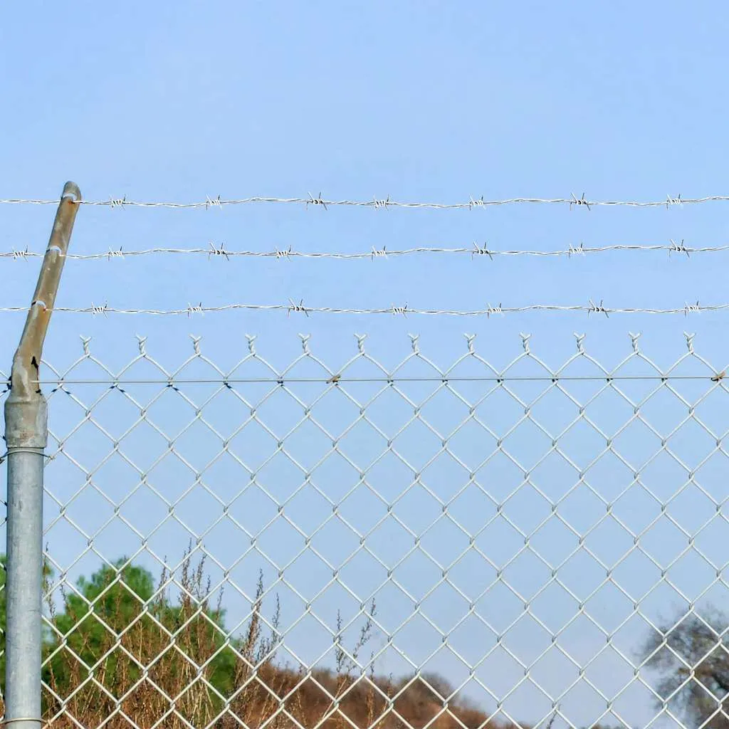 vidaXL Stacheldraht 500 m aufgerollt vidaXL Stacheldraht 500 m aufgerollt