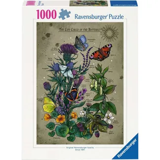 Puzzle – Lebenskreis Schmetterling Puzzle – Lebenskreis Schmetterling