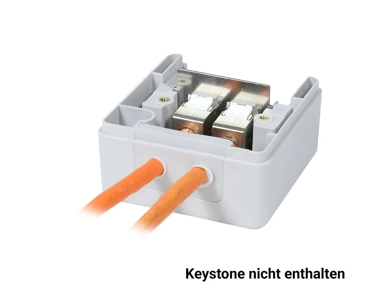 Keystone, Modulträger, Aufputzgehäuse IP44, mit Montageeinsatz für 2xKeystone Module, Synergy 21, – Bild 8