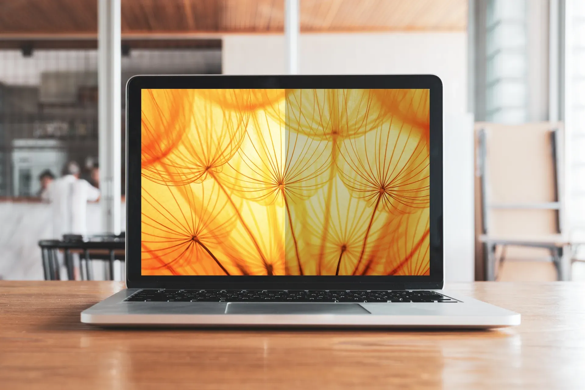 3M Bright Screen Blickschutzfilter für 13.3in Laptop, 16:10, BP133W1B – Bild 5