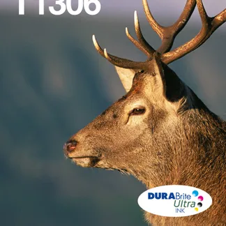 Epson Stag Multipack 3-colours T1306 DURABrite Ultra Ink EasyMail Epson Stag Multipack 3-colours T1306 DURABrite Ultra Ink EasyMail