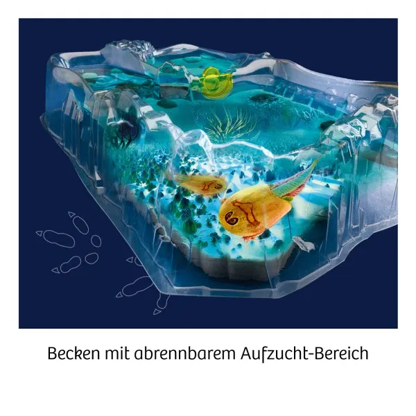 Kosmos Fun Science Triops züchten Erlebe die Krebse aus der Urzeit! – Bild 4