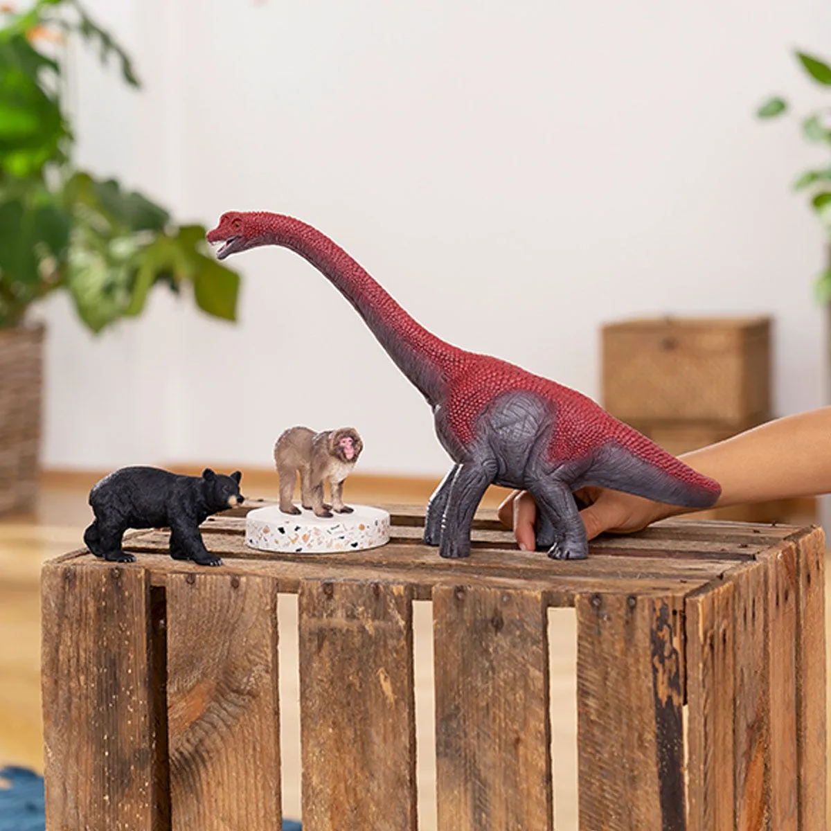 schleich WILD LIFE Amerikanischer Schwarzbär – Bild 2