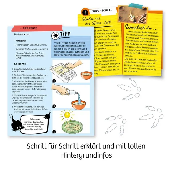 Kosmos Fun Science Triops züchten Erlebe die Krebse aus der Urzeit! – Bild 5