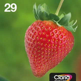 Epson Strawberry Multipack 4-colours 29 EasyMail Epson Strawberry Multipack 4-colours 29 EasyMail