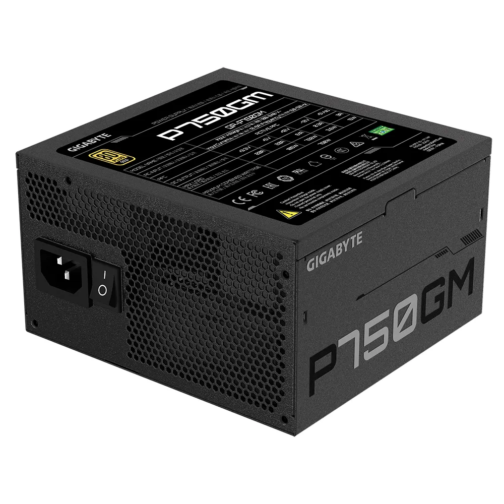 GIGABYTE P750GM Netzteil 750 W 20+4 pin ATX ATX Schwarz – Bild 4