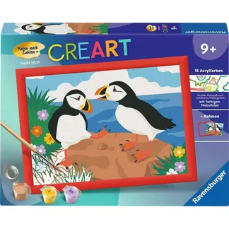 CreArt – Papageientaucher, Malen CreArt – Papageientaucher, Malen