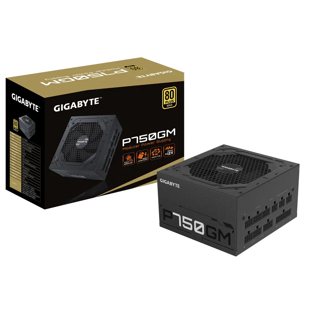 GIGABYTE P750GM Netzteil 750 W 20+4 pin ATX ATX Schwarz – Bild 7