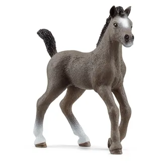 schleich HORSE CLUB 13957 Kinderspielzeugfigur schleich HORSE CLUB 13957 Kinderspielzeugfigur