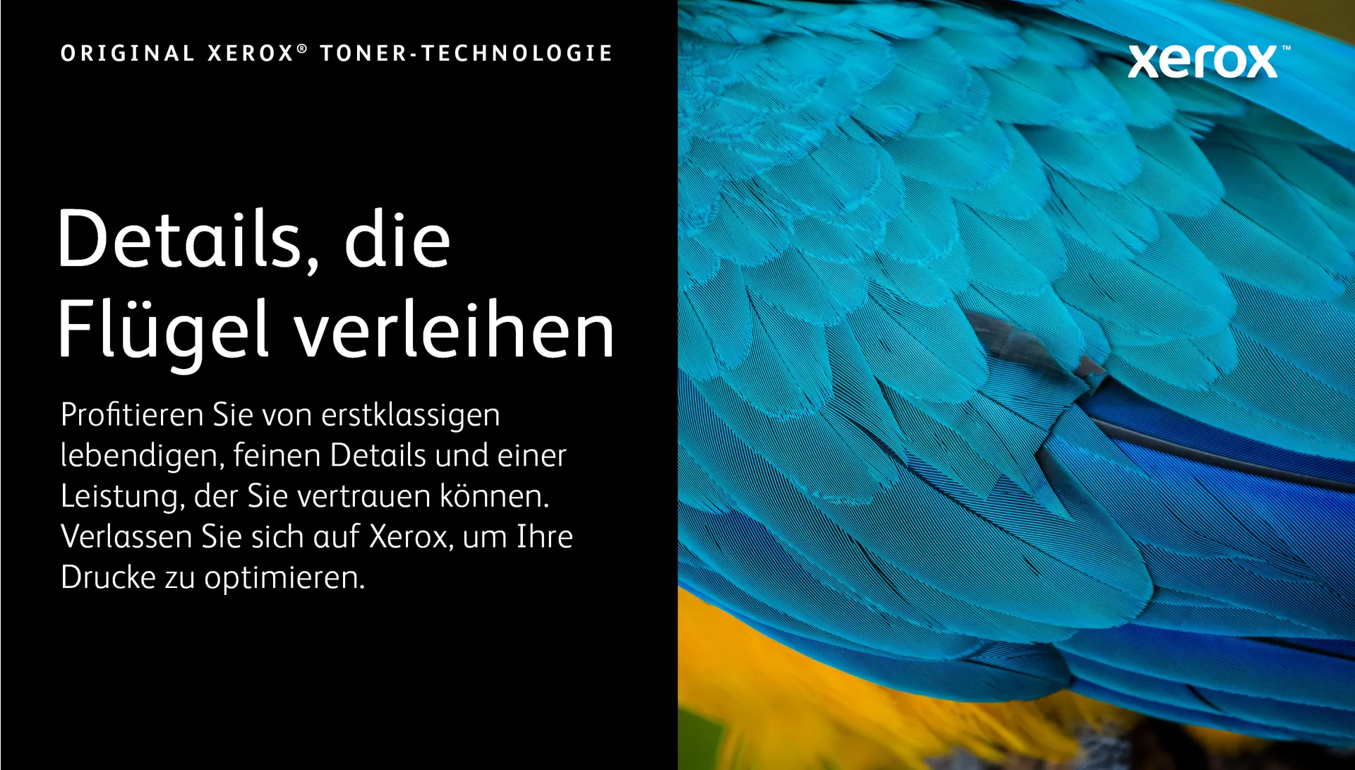 Xerox ® VersaLink® C7000 Farbdrucker Hohe Kapazität-Tonermodul Magenta (10100 Seiten) - 106R03759 – Bild 3