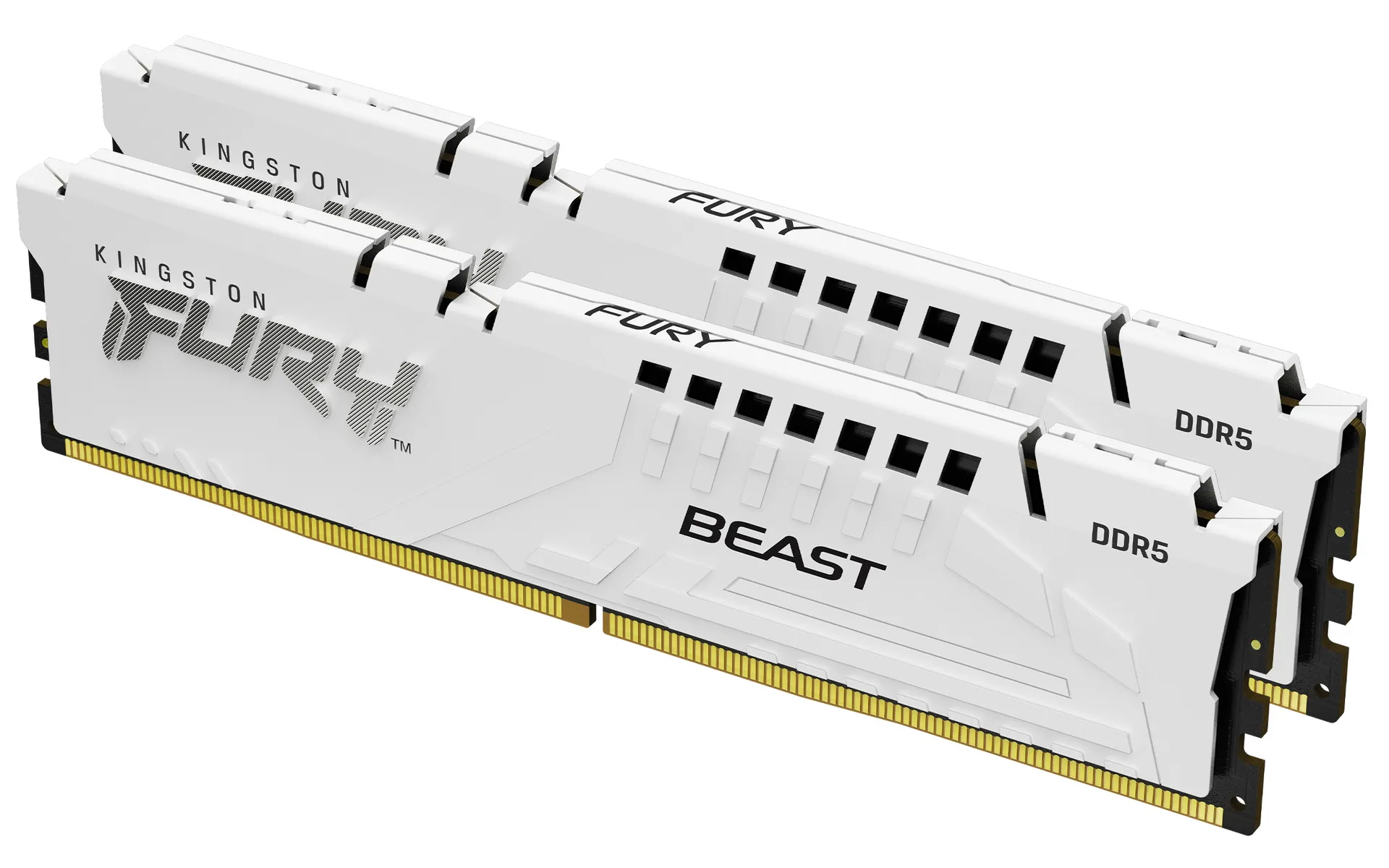Kingston Technology FURY Beast 32 GB 6000 MT/s DDR5 CL30 DIMM (Kit of 2) White EXPO Kingston Technology FURY Beast 32 GB 6000 MT/s DDR5 CL30 DIMM (Kit of 2) White EXPO