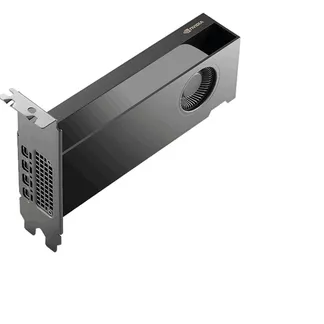 NVIDIA RTX PRO 2000 Blackwell Generation 16GB PB, Grafikkarte NVIDIA RTX PRO 2000 Blackwell Generation 16GB PB, Grafikkarte