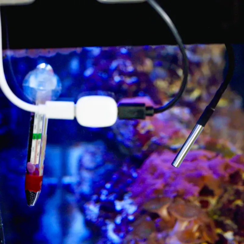 Shelly · The Pill · "Temperatursensor DS18B20 3,5 mm Jack 1m Kabel" – Bild 3