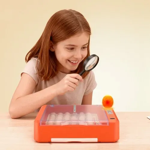 VEVOR Brutautomat Vollautomatisch 36-Eier, Eierinkubator, mit Eierwender, Temperatur- & Feuchtigkeitsregelung, Inkubator Brutmaschine zum Ausbrüten von Küken, Enten, Gänsen & Wachteln – Bild 7