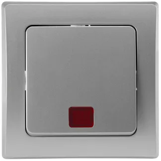 DELPHI Kontroll-Schalter mit Lämpchen 250V~/ 10A, UP, silber DELPHI Kontroll-Schalter mit Lämpchen 250V~/ 10A, UP, silber