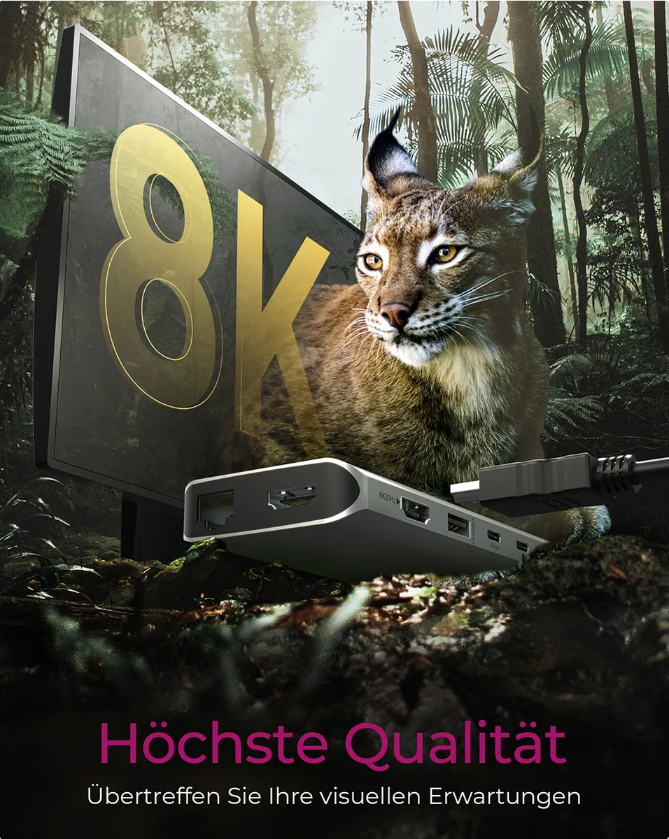 ICY BOX IB-DK4061-CPD, 12 zu 1 USB Type-C® Notebook DockingStation, 2x HDMI – Bild 2
