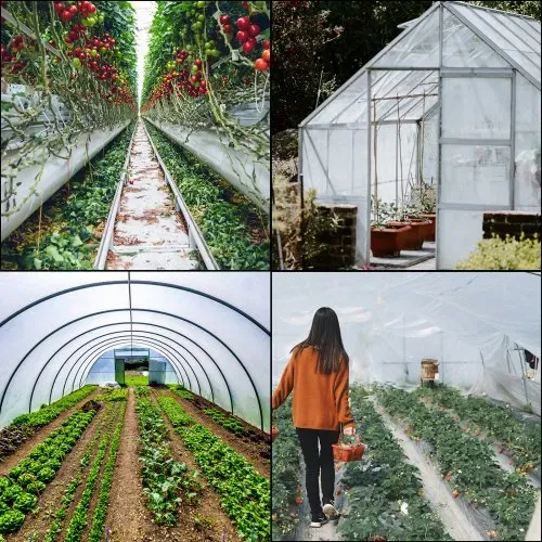 VEVOR PE Gewächshausfolie 7,3 M Länge x 15,2 M Breite Transparent Treibhausfolien, 0,15 mm Dicke Folientunnel, reißfeste Gartenfolien aus Polyethylen als Plastikfolien für Abdeckungen im Außenbereich – Bild 6