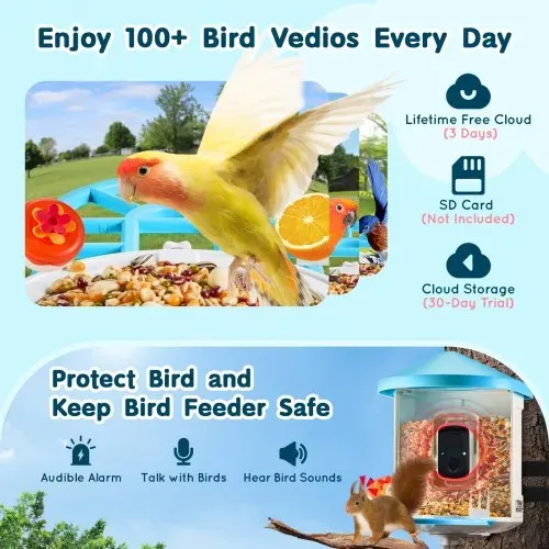 VEVOR Intelligenter Vogelfutterspender mit Kamera, 2K HD KI identifiziert über 10.000 Vogelarten, solarbetriebene Vogelbeobachtungskamera mit automatischer Aufnahme und sofortiger Benachrichtigung, kabelloses Outdoor-Geschenk für Vogelliebhaber (2 Solarmodule) – Bild 2