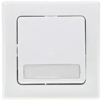 DELPHI Taster mit Namensschild 0-250V~/ 10A, inkl. Rahmen, UP, weiß DELPHI Taster mit Namensschild 0-250V~/ 10A, inkl. Rahmen, UP, weiß
