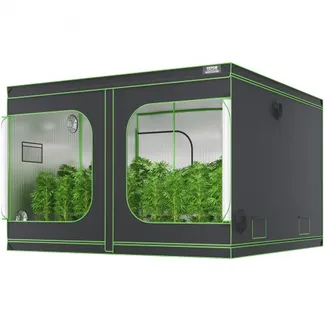 VEVOR Growbox 305 x 305 x 203 cm Gewächshaus aus 19 mm Stahl-Rahmen und 600D Oxford-Gewebe Growtent 60 kg Tragfähigkeit Growschrank Geeignet für 400 W Wachstumslicht Indoor Zuchtzelt VEVOR Growbox 305 x 305 x 203 cm Gewächshaus aus 19 mm Stahl-Rahmen und 600D Oxford-Gewebe Growtent 60 kg Tragfähigkeit Growschrank Geeignet für 400 W Wachstumslicht Indoor Zuchtzelt